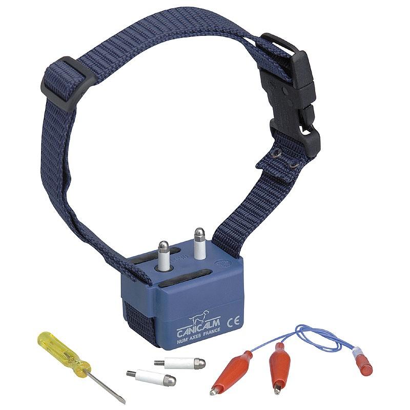 collier anti aboiement gros chien decathlon